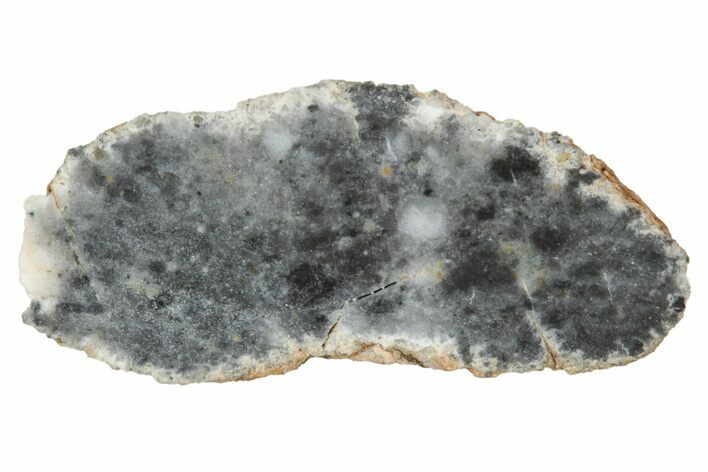 Lunar Meteorite ( g) Section - Bechar #348212